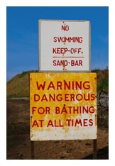 bacteria superbugs at the beach