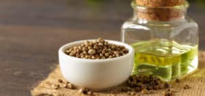 hemp seed oil