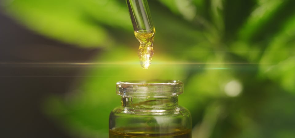 Does CBD Oil Live Up to the Marketing Hype?