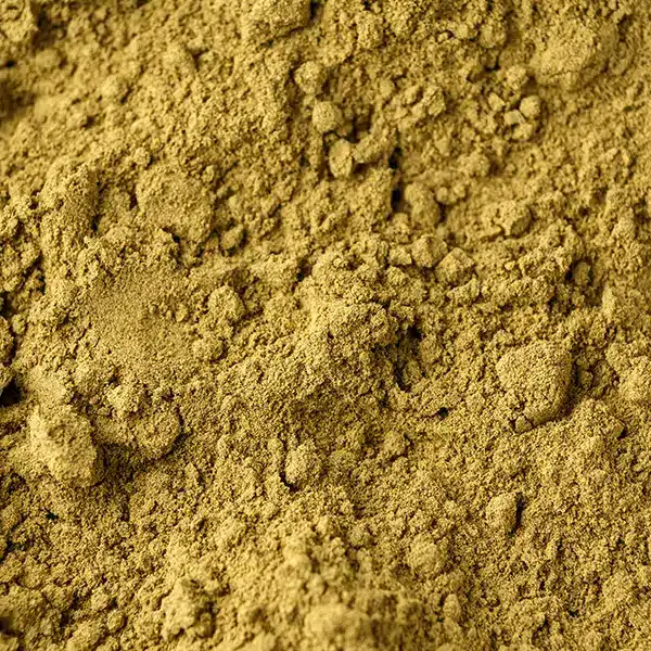 Closeup of Ox Bile powder, a nutritional supplement ingredient