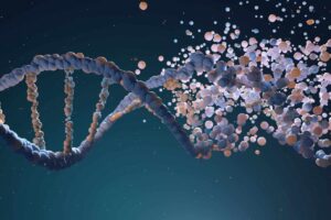 Biohack: Managing MTHFR Gene Mutation Naturally