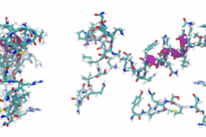 Peptide Therapy Is Everywhere—But Is It the Right Move for You?