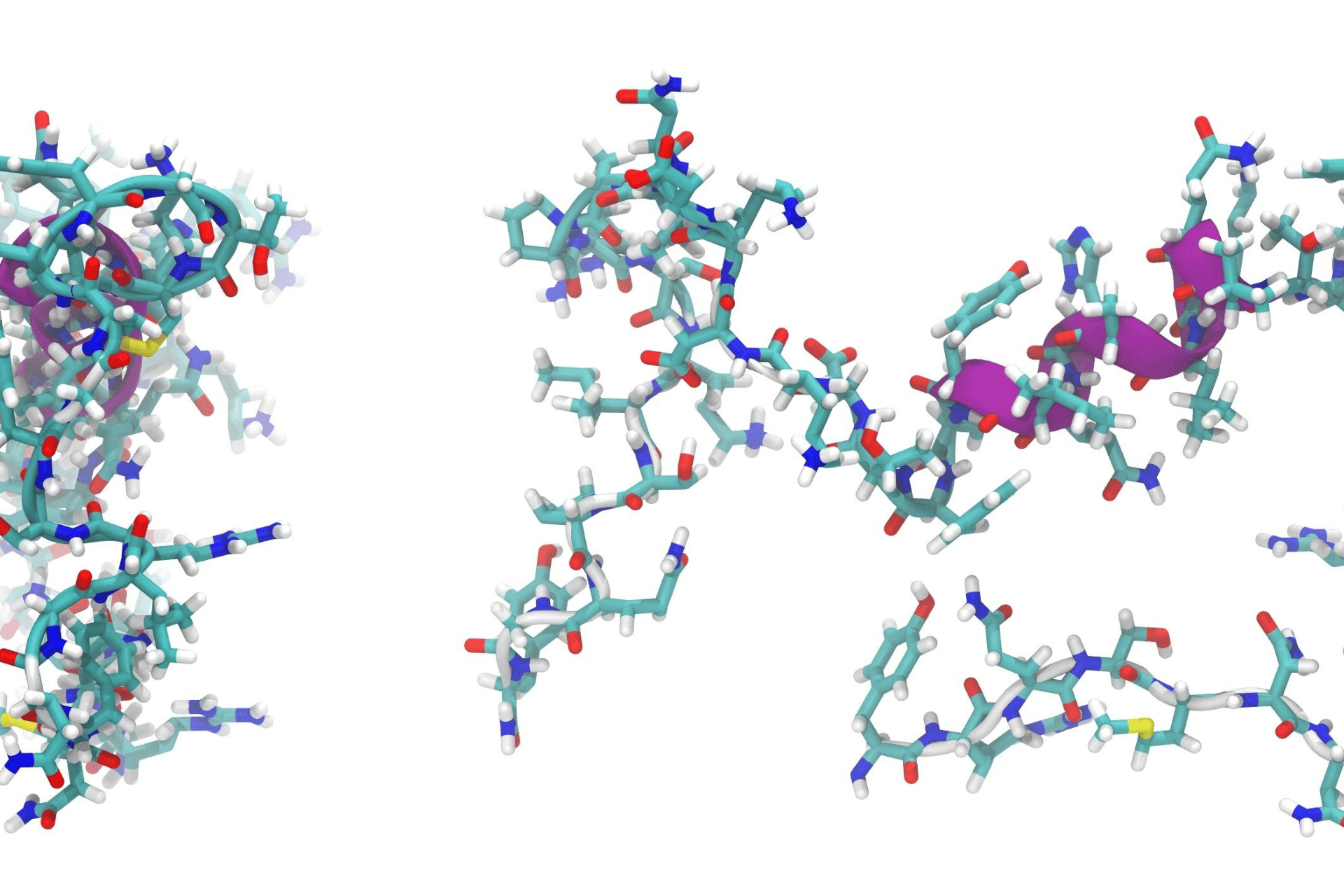 Peptide Therapy Is Everywhere—But Is It the Right Move for You?