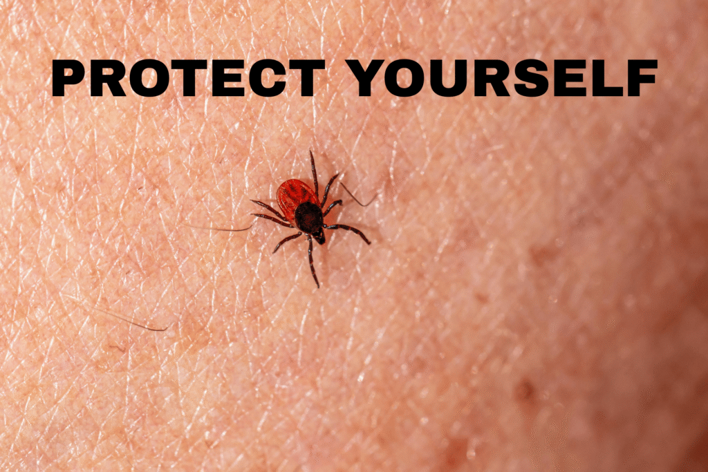 Stop Ticks With This Essential Oils Biohack
