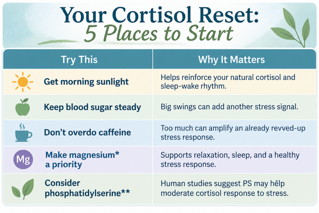 Cortisol Detox: When the Tiger Never Leaves